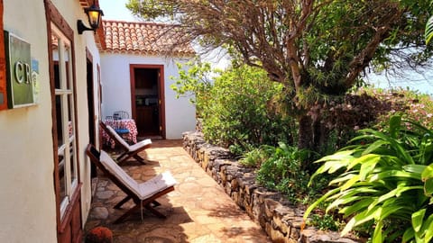 Property building, Garden, Garden view, sunbed