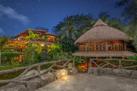 Property building, Night, Natural landscape, Garden, Garden view