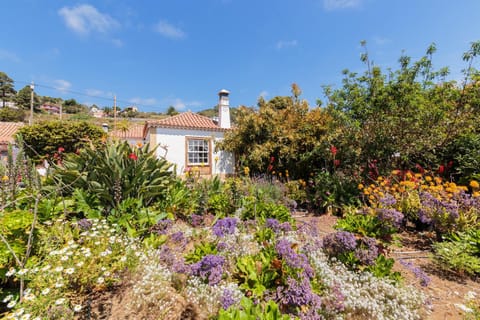 Property building, Facade/entrance, Garden