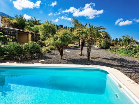 Day, Garden, Garden view, Pool view