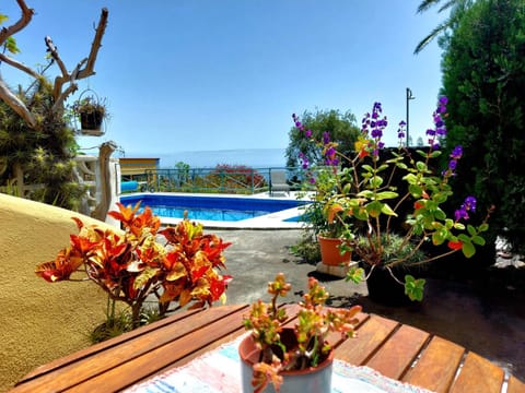Natural landscape, Garden, Garden view, Pool view, Swimming pool, sunbed