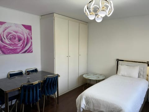 Queen Home Apartment in Lucerne