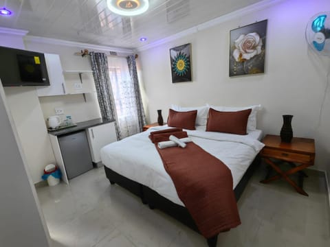 Bed, TV and multimedia, Kitchen or kitchenette, Photo of the whole room, Bedroom, hair dresser