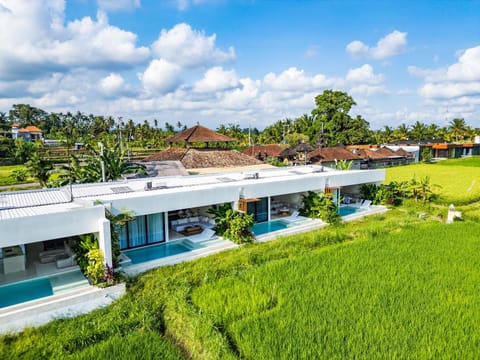 Neighbourhood, Bird's eye view