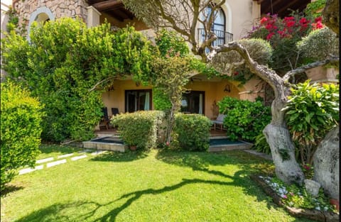 Patio, Spring, Day, Natural landscape, Garden, Garden view