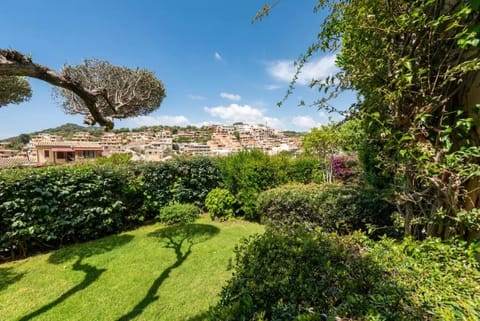 Garden, Garden view, Garden view, Time of day