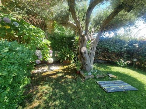 Day, Natural landscape, Garden