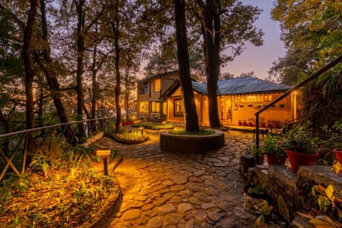 Property building, Night, Natural landscape, Garden, Garden view