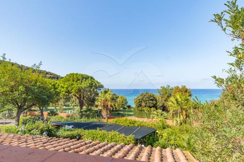 Natural landscape, Garden