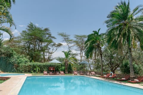 Swimming pool, Swimming pool