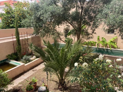 Spring, Day, Garden view