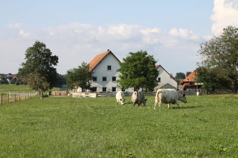 Property building, Natural landscape, Garden view