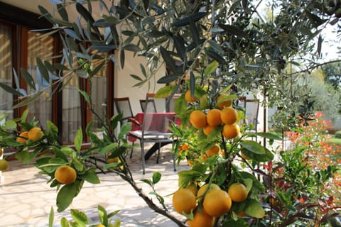 Day, Neighbourhood, Garden, Balcony/Terrace