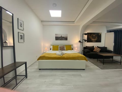 Bed, Living room, Photo of the whole room, Bedroom