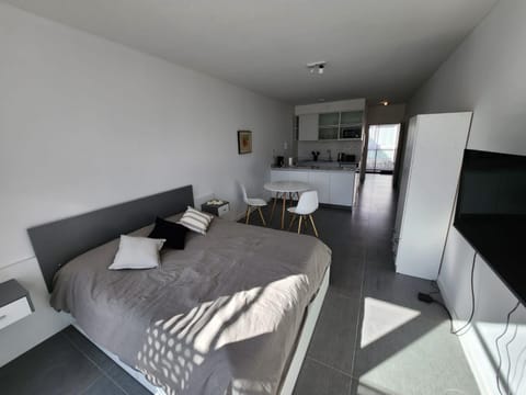 Bed, TV and multimedia, Kitchen or kitchenette, Living room, Photo of the whole room, minibar, wardrobe