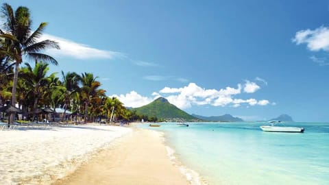 Natural landscape, Beach