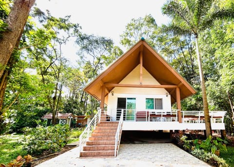 Natural landscape, Garden, Garden view