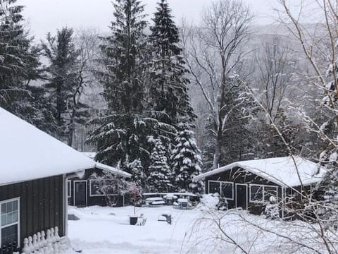 Belleayre Lodge Nature lodge in Pine Hill