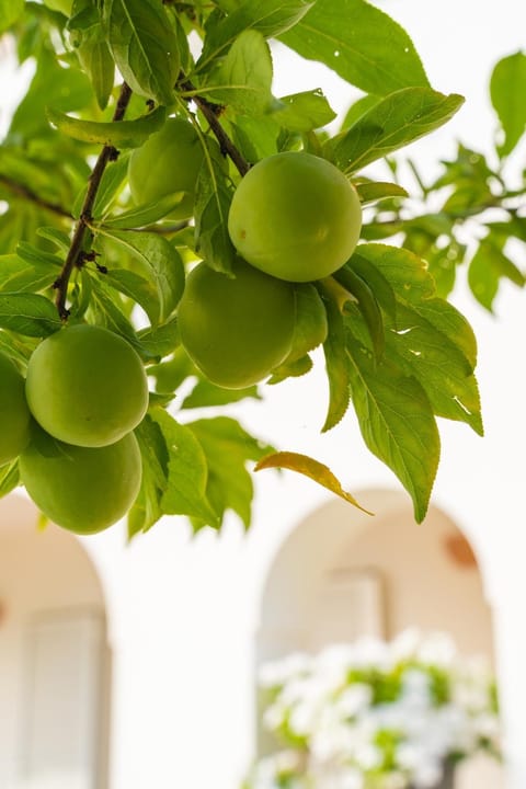 Villa Giulia Villa in Praiano