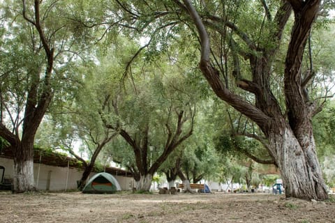 Natural landscape, On site, Area and facilities