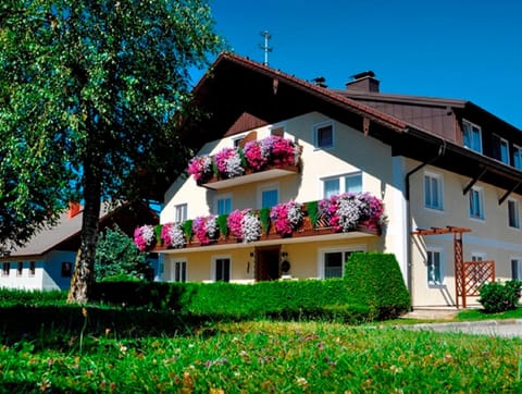 Property building, Facade/entrance, Garden