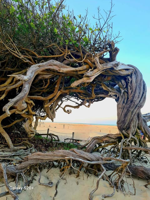 Natural landscape, Sea view