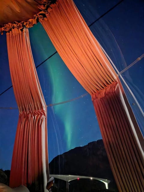 Night, Natural landscape