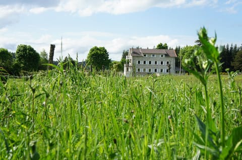 Property building, Garden, Garden