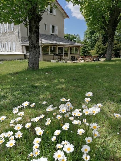 Patio, Facade/entrance
