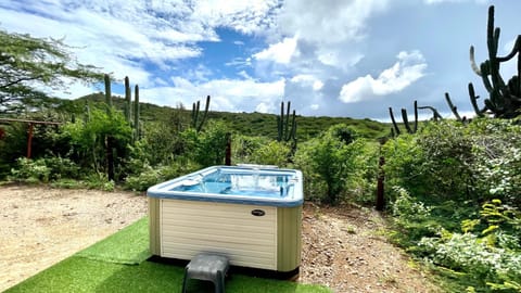 Natural landscape, Garden, Hot Tub, Hot Tub, Mountain view