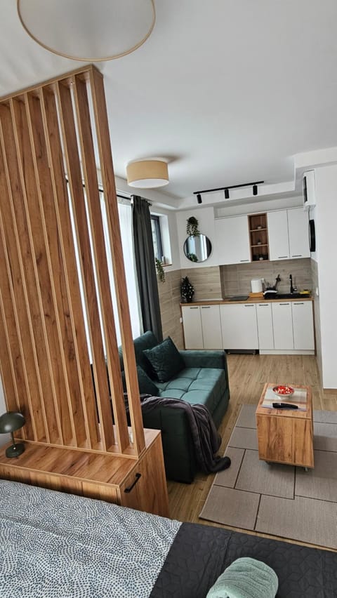 Green Hills PART Apartment in Zlatibor District, Serbia