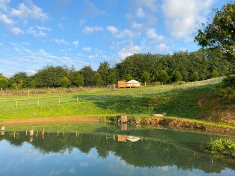 Lake view