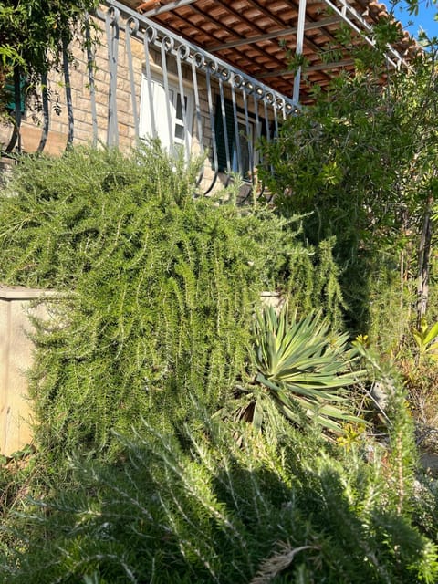 Garden Apartment Apartment in Selca, Brač