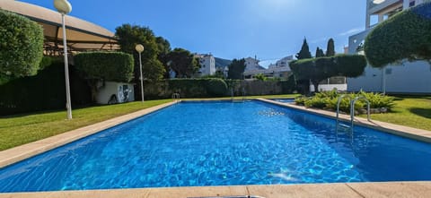 Swimming pool, Swimming pool