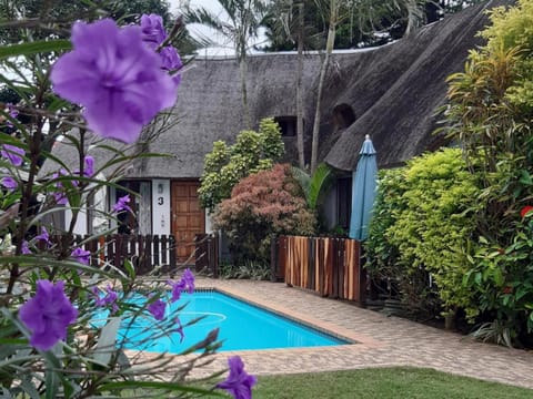 Garden view, Swimming pool