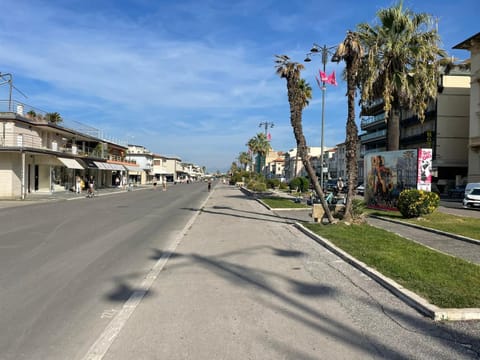 loft flavia Apartment in Viareggio
