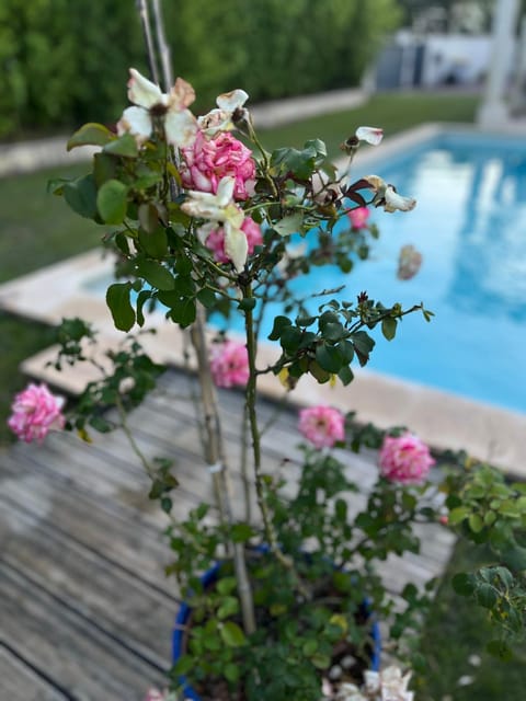 Villa provençale proche d'Avignon Villa in Villeneuve-lès-Avignon