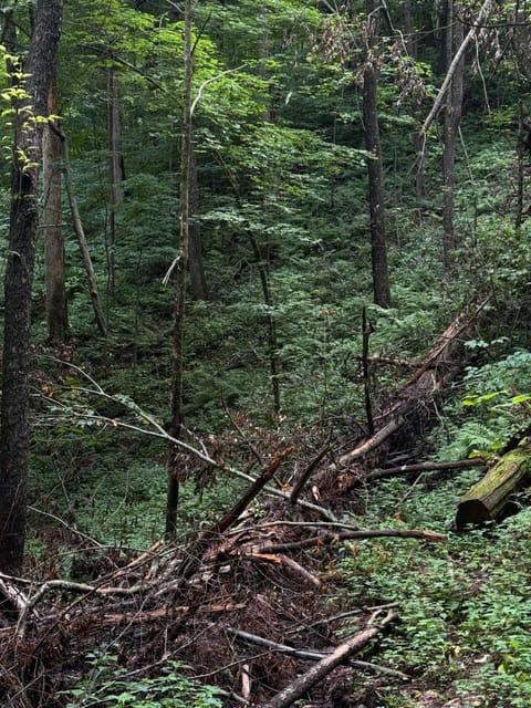 Smoky Mountains FamiLee Cabin in Wears Valley 2/2 Cabin in Sevier County