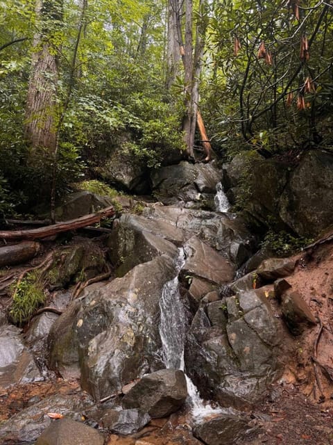 Smoky Mountains FamiLee Cabin in Wears Valley 2/2 Cabin in Sevier County