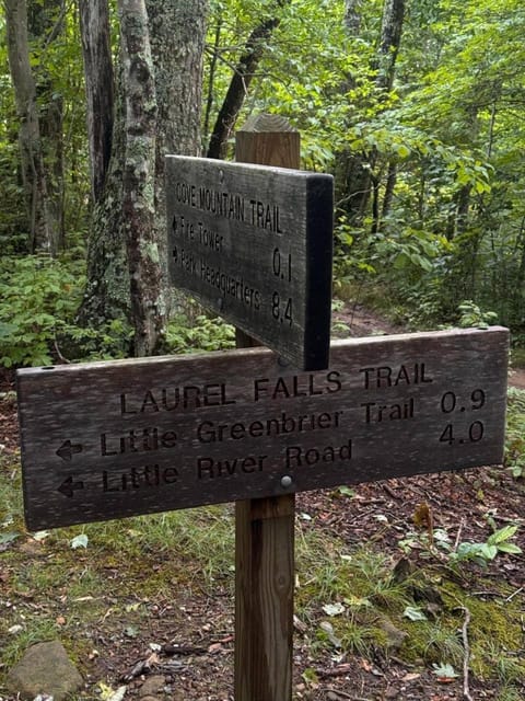 Smoky Mountains FamiLee Cabin in Wears Valley 2/2 Cabin in Sevier County