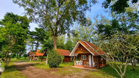 Natural landscape, Garden view