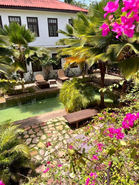 Swimming pool