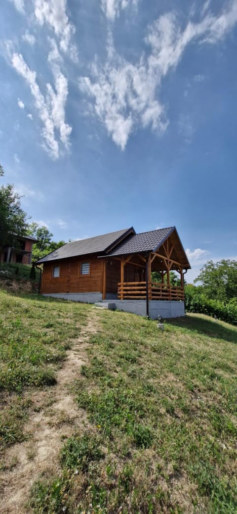 Property building, Spring, Day, Natural landscape, Garden, Garden view