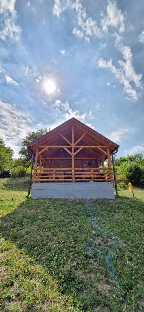 Spring, Day, Natural landscape, Garden, Garden view