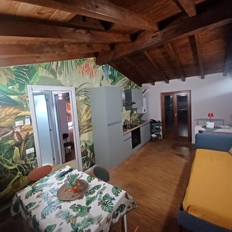 Bed, Kitchen or kitchenette, Living room, Photo of the whole room, Seating area, Dining area