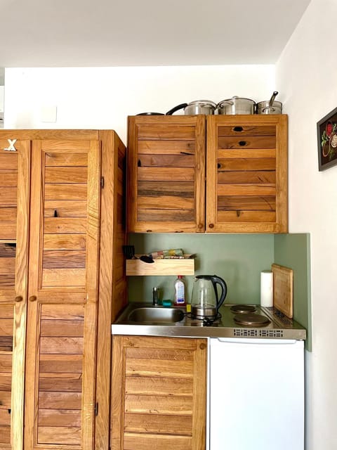 Bajic Apartmani Apartment in Seline