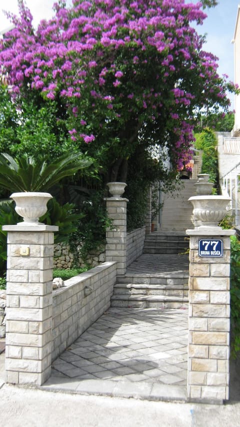 Property building, Day