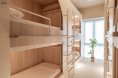 Bed, Photo of the whole room, bunk bed