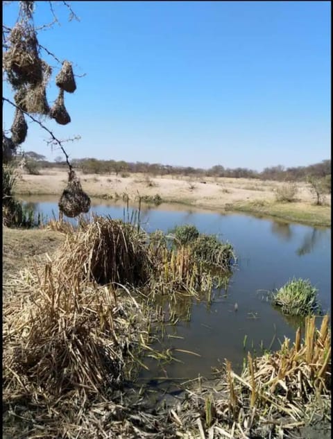 Natural landscape