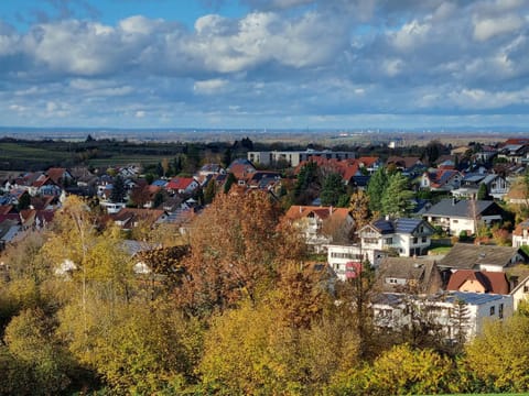 Ferienwohnung Waldblick Apartment in Lahr